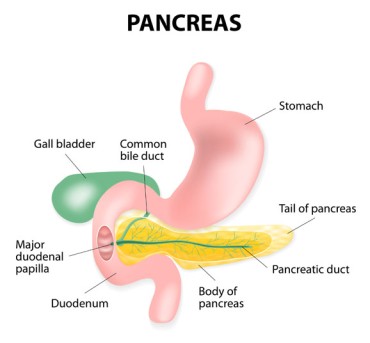 Distal Pancreatectomy by OrangeCountySurgeons